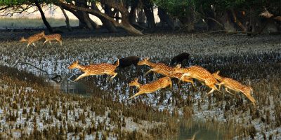 Khulna || About Khulna History, Economy, Tourist Spots & Notable Personalities Khulna || About Khulna History, Economy, Tourist Spots & Notable Personalities
